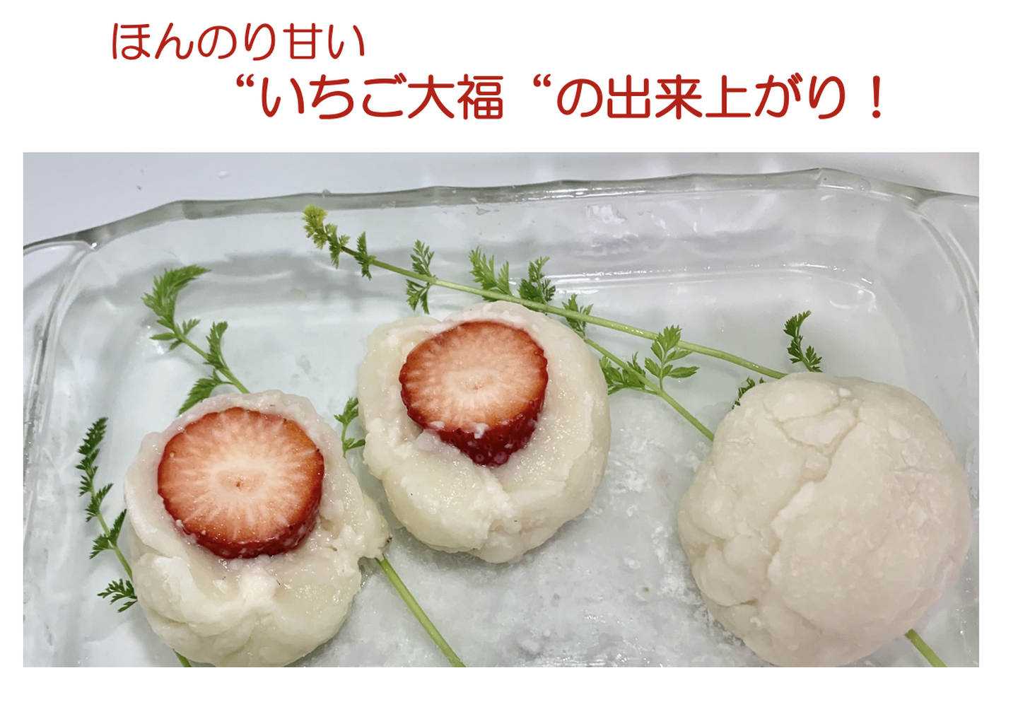 画像1321