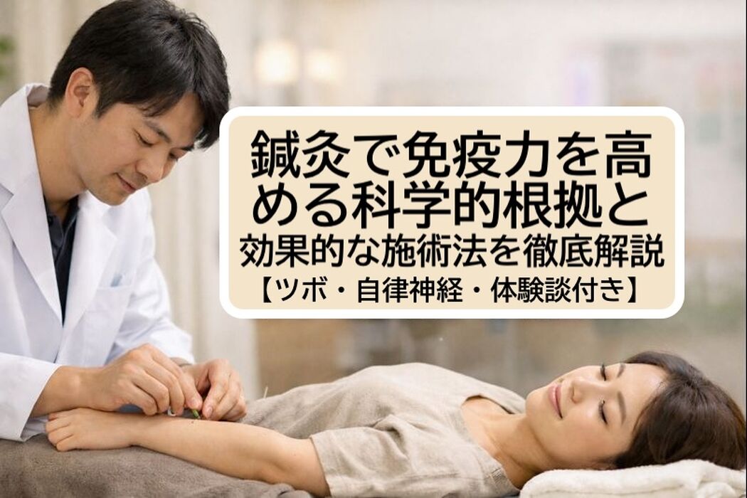 画像3276