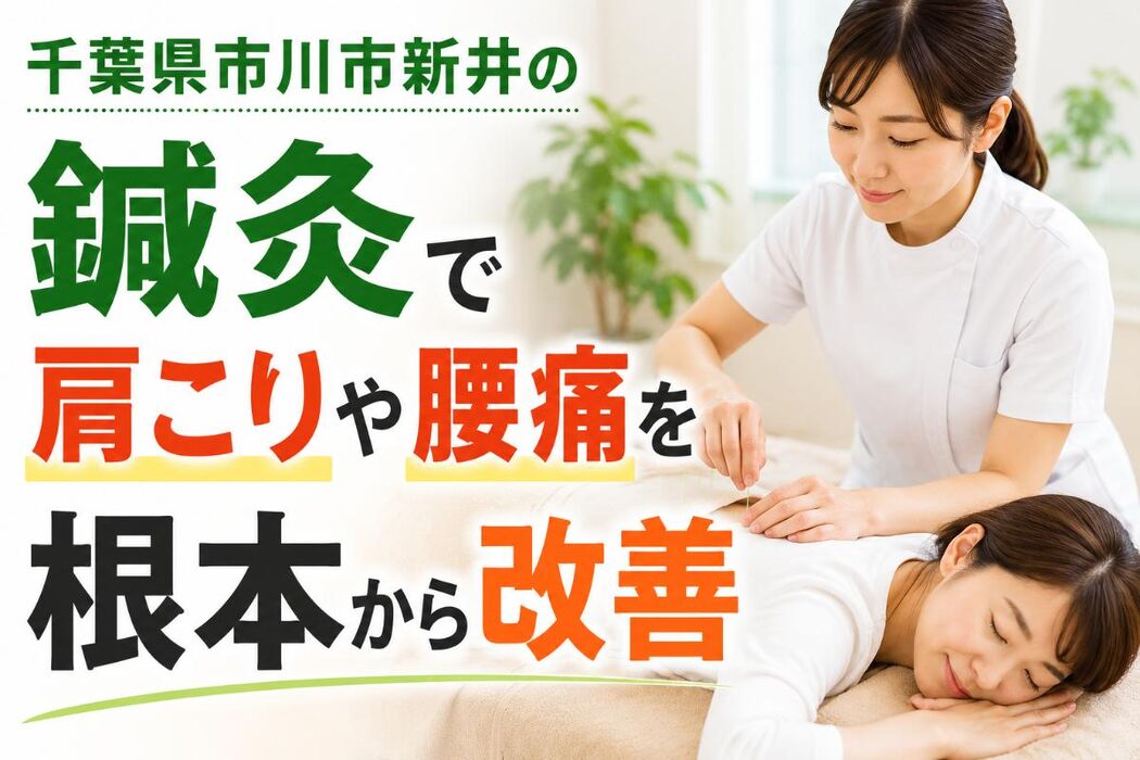 画像4532