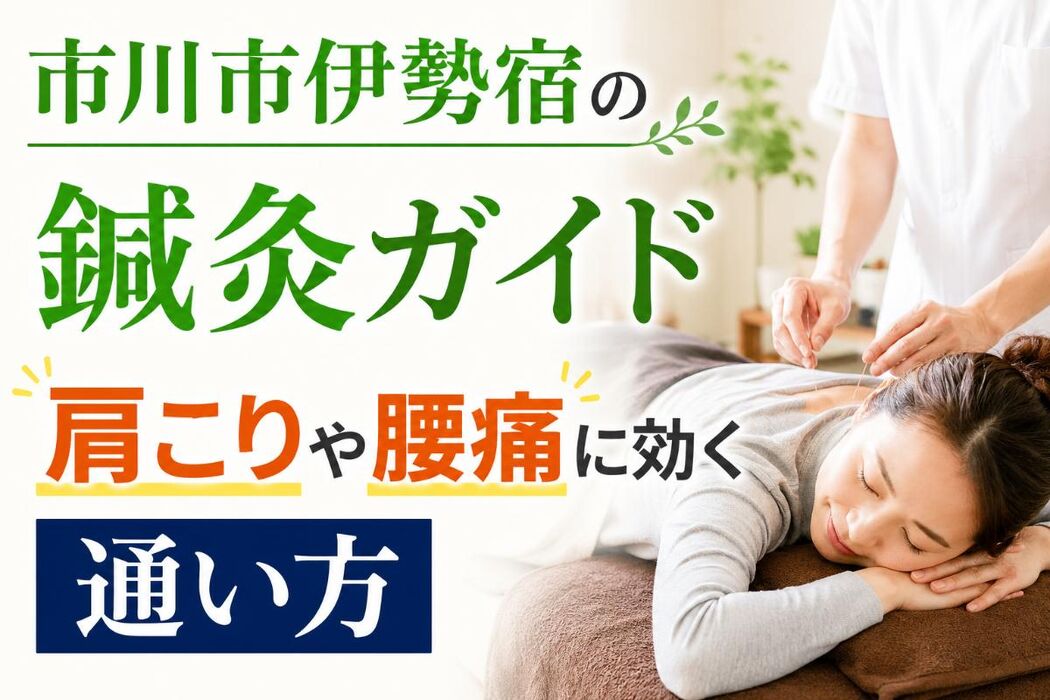 画像4560