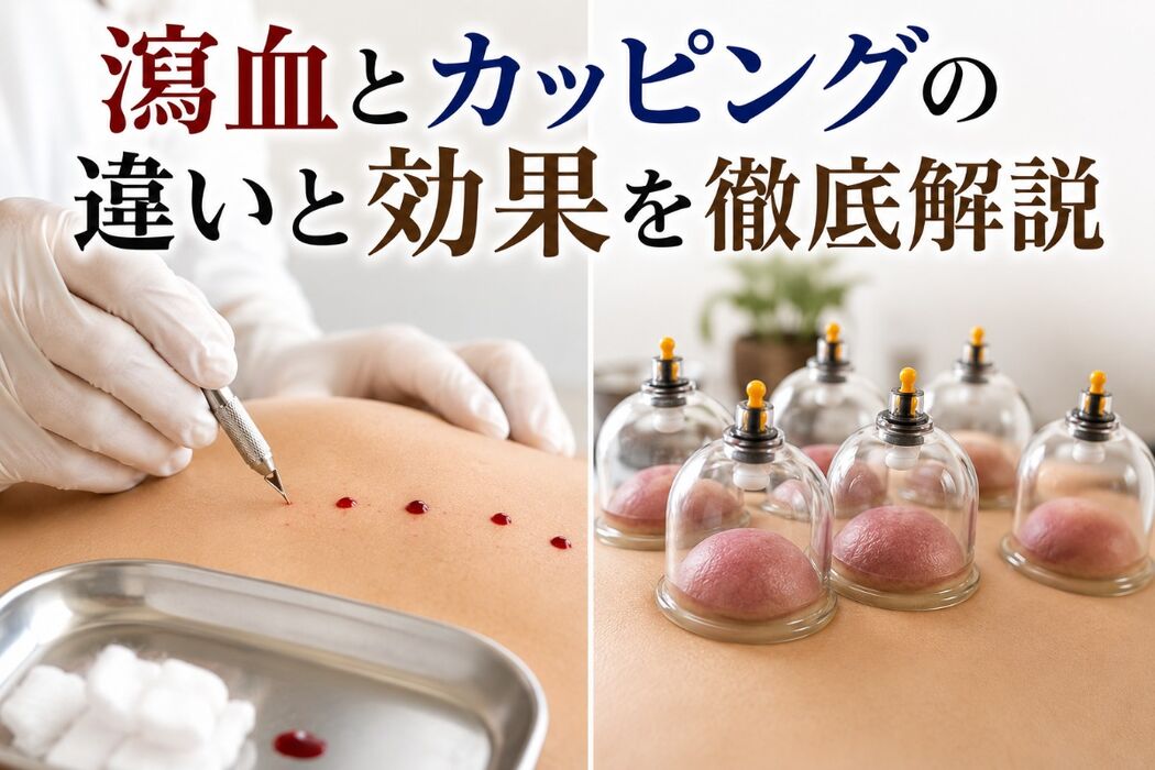 画像4865